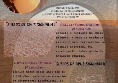 Opus Signinum